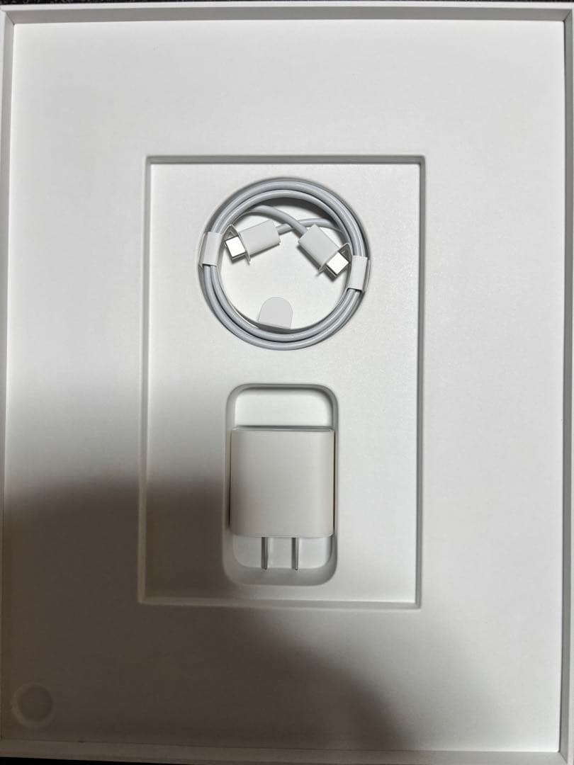 iPad pro 12.9 (第3世代) 256GB applepencil付き