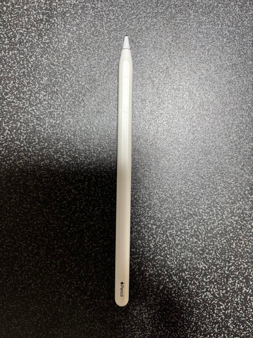 iPad pro 12.9 (第3世代) 256GB applepencil付き