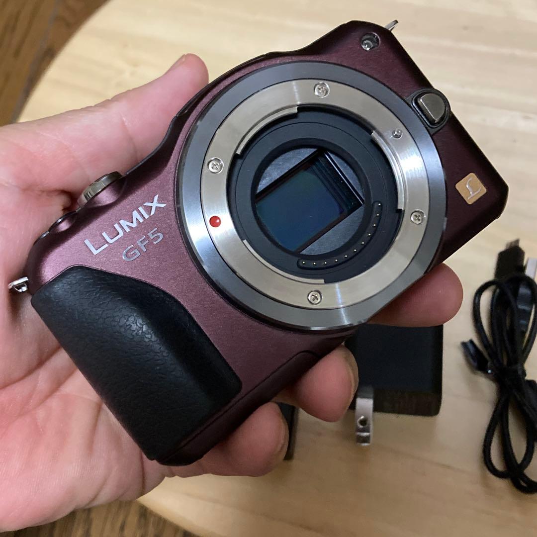 美品パナソニック LUMIX GF5 ブラウン　シャッター回数極少2151