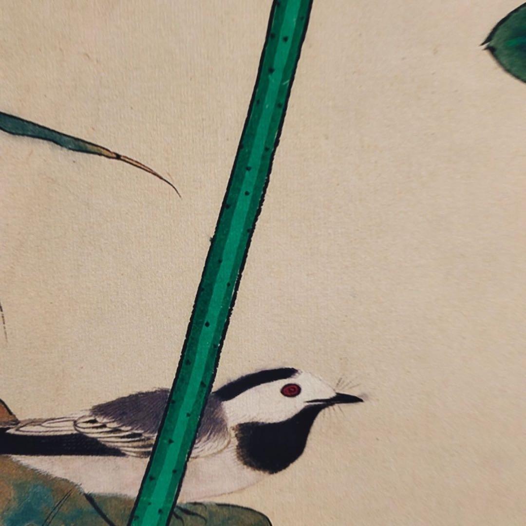 中国掛軸 于非闇 蓮池蜻蛉翠鳥図 中堂掛け軸 花鳥画 中国画 インテリア