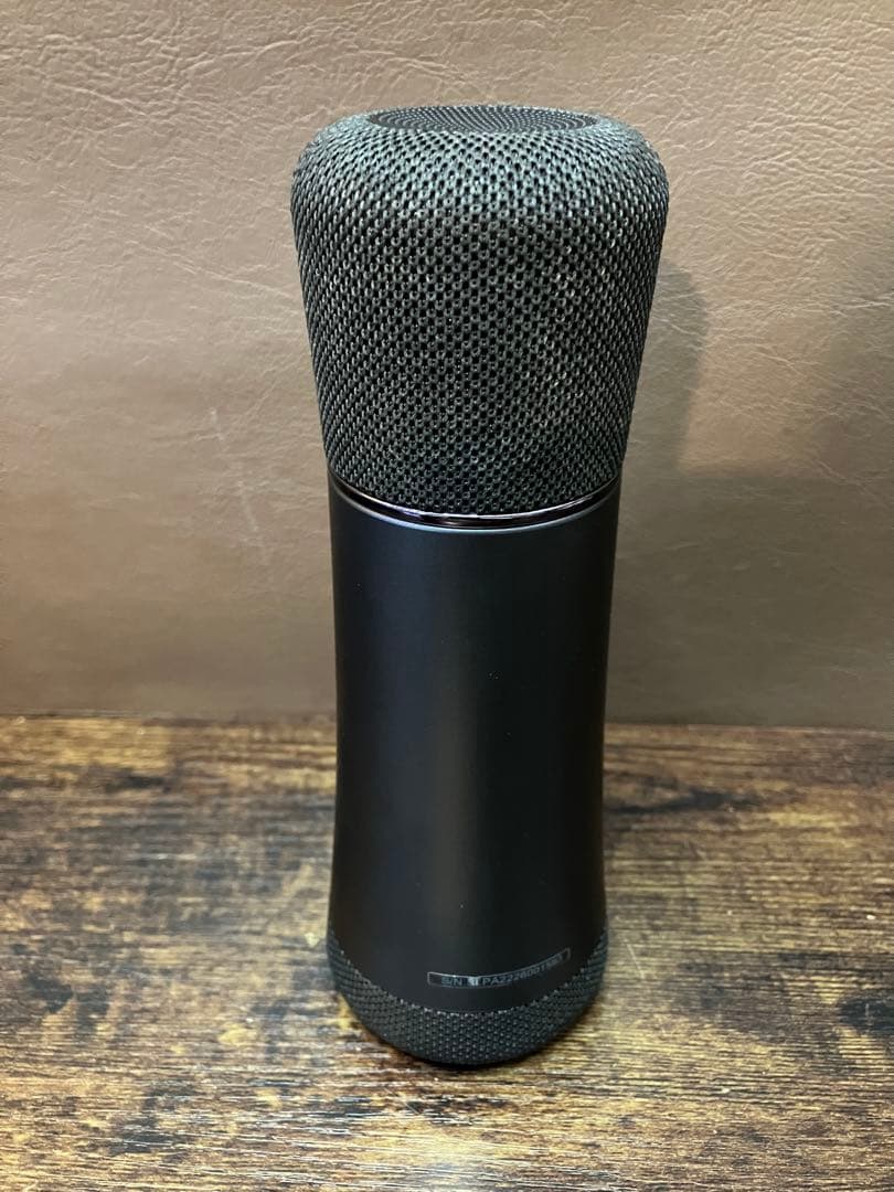 PHILIPS DLM9317C カラオケマイク Bluetooth対応