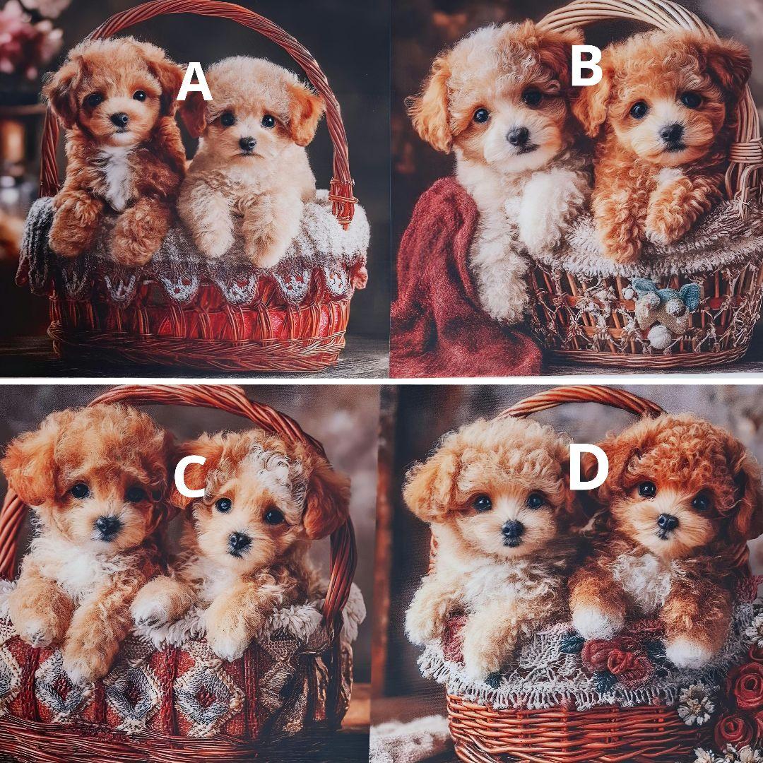 あゆちょハンドメイド用オーダー用パネル♥️可愛いトイプードル12月1日在庫分