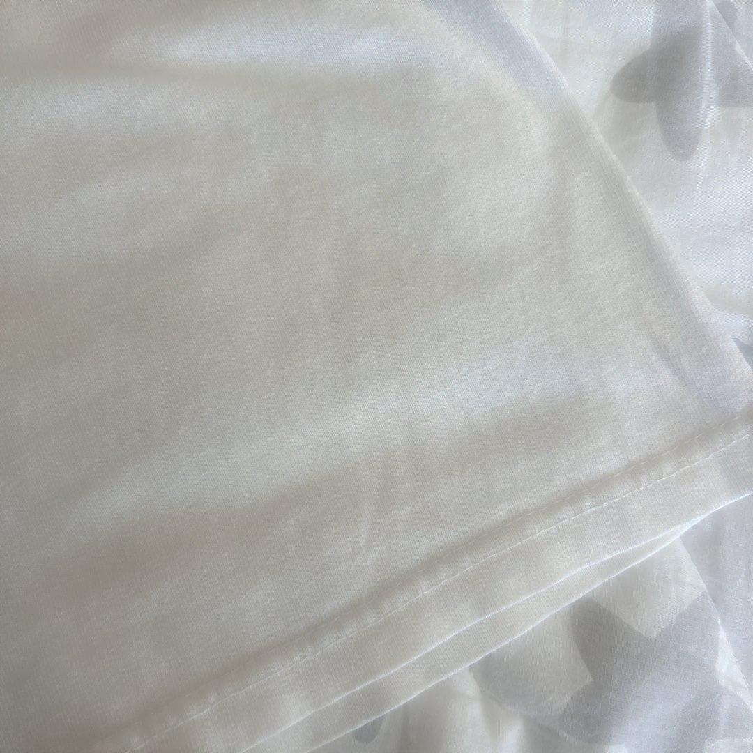 GOING STEADY 銀杏BOYZ