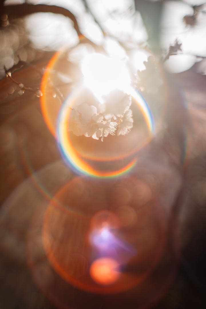 【極上フレア】Super Takumar 55mm f1.8【光学美品】