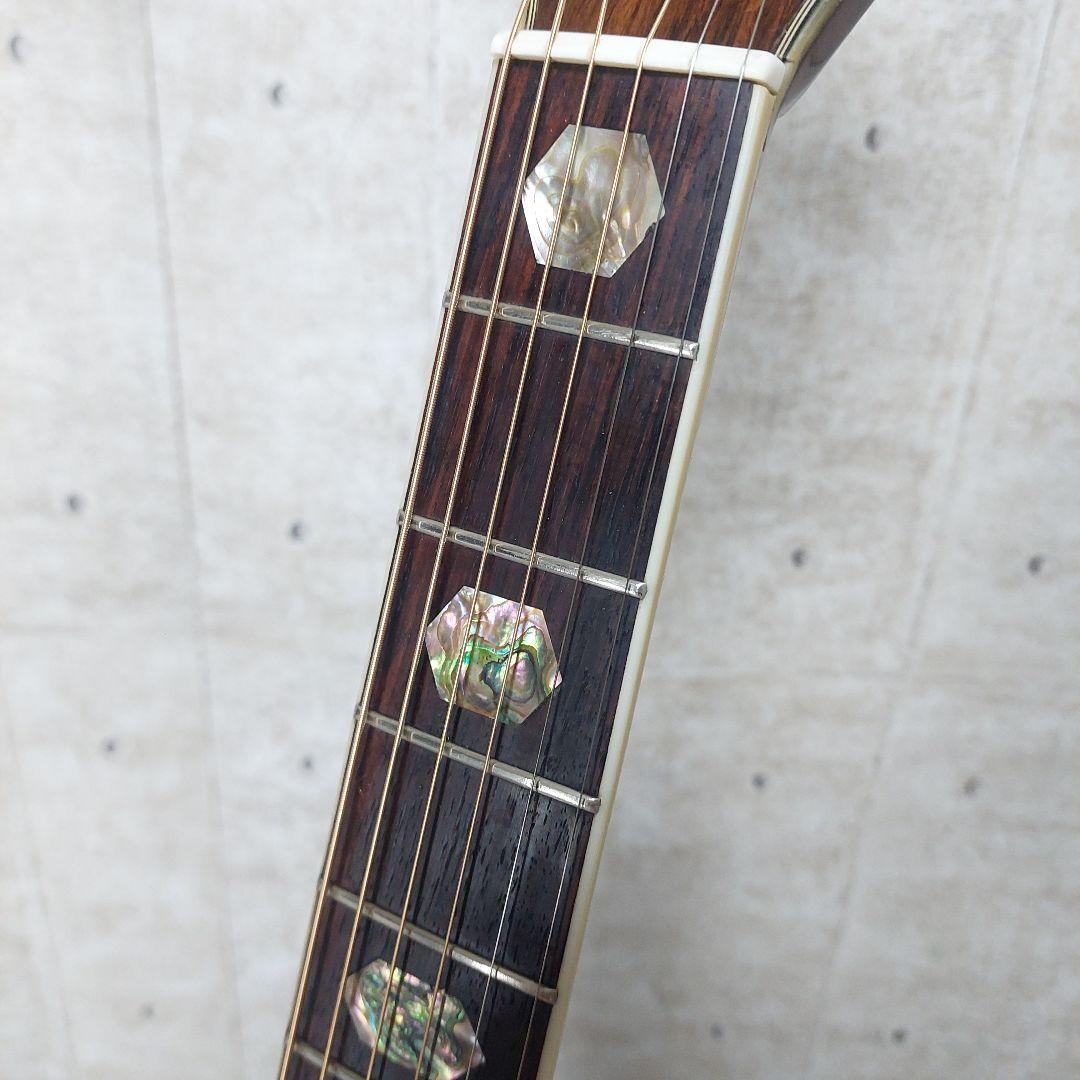 【希少】 Morris TF W-60 ハカランダ 縦ロゴ 弦張り替え済