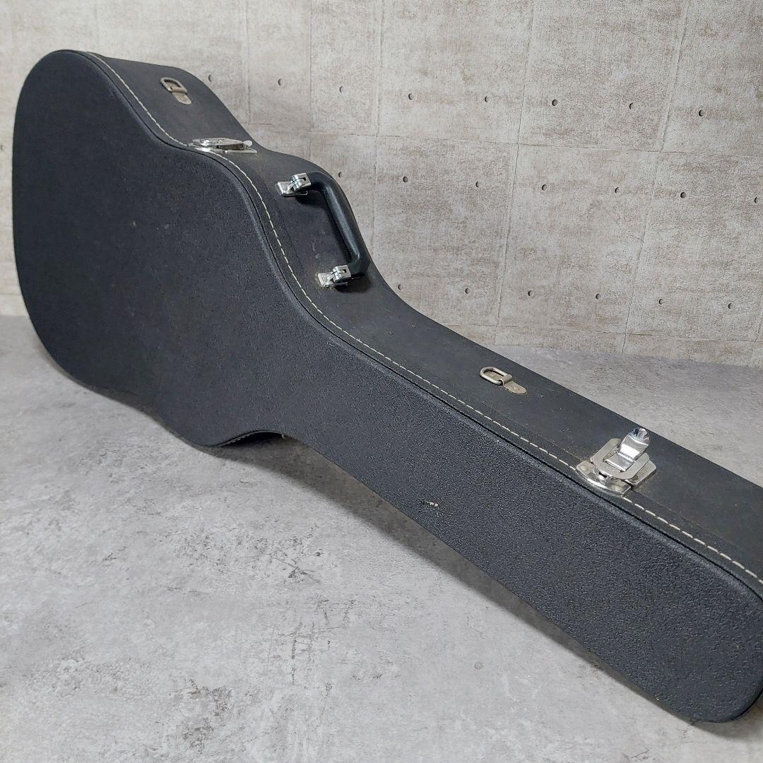 【希少】 Morris TF W-60 ハカランダ 縦ロゴ 弦張り替え済