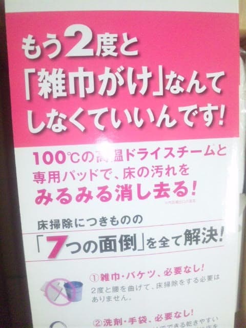 【除菌・アレルギー殺菌】赤ちゃん・犬猫★畳・じゅうたん・軽量♪スチーム