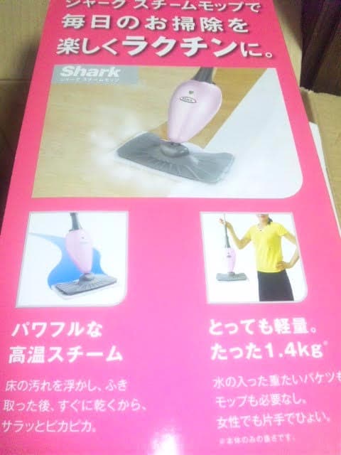 【除菌・アレルギー殺菌】赤ちゃん・犬猫★畳・じゅうたん・軽量♪スチーム