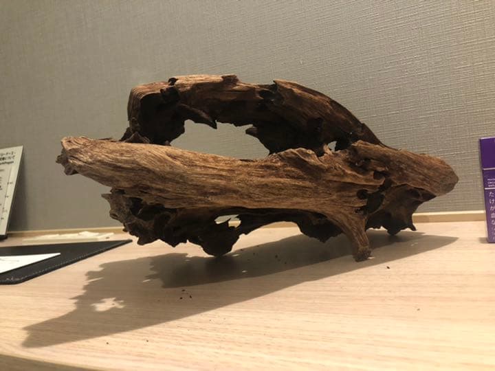 レア流木　美形状　アクアリウム　ADA