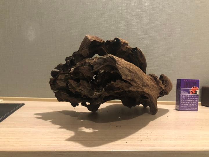 レア流木　美形状　アクアリウム　ADA
