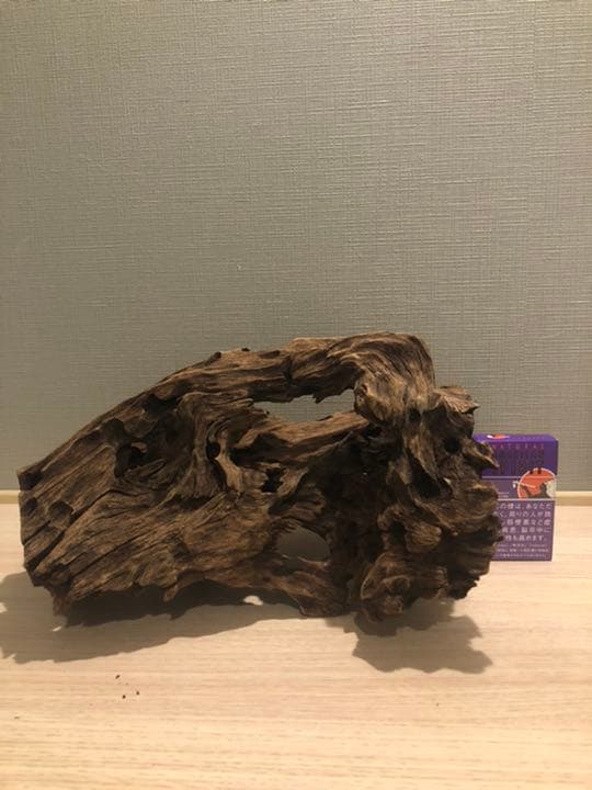 レア流木　美形状　アクアリウム　ADA