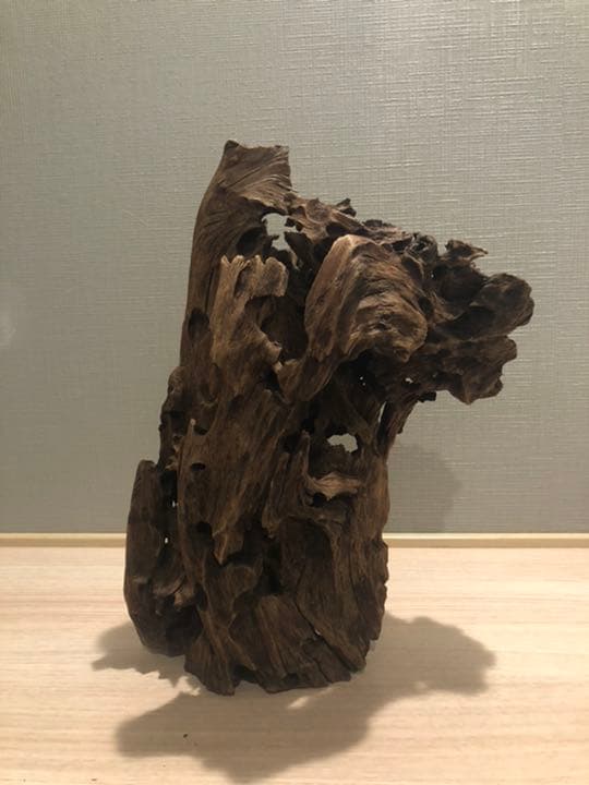 レア流木　美形状　アクアリウム　ADA