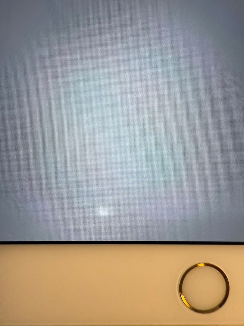 iPad 10.5インチ（本体のみ）