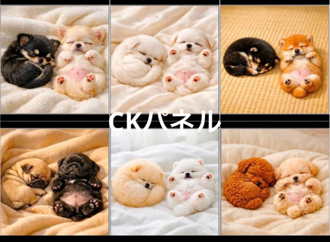 財布・ケース・小物入れ tamago