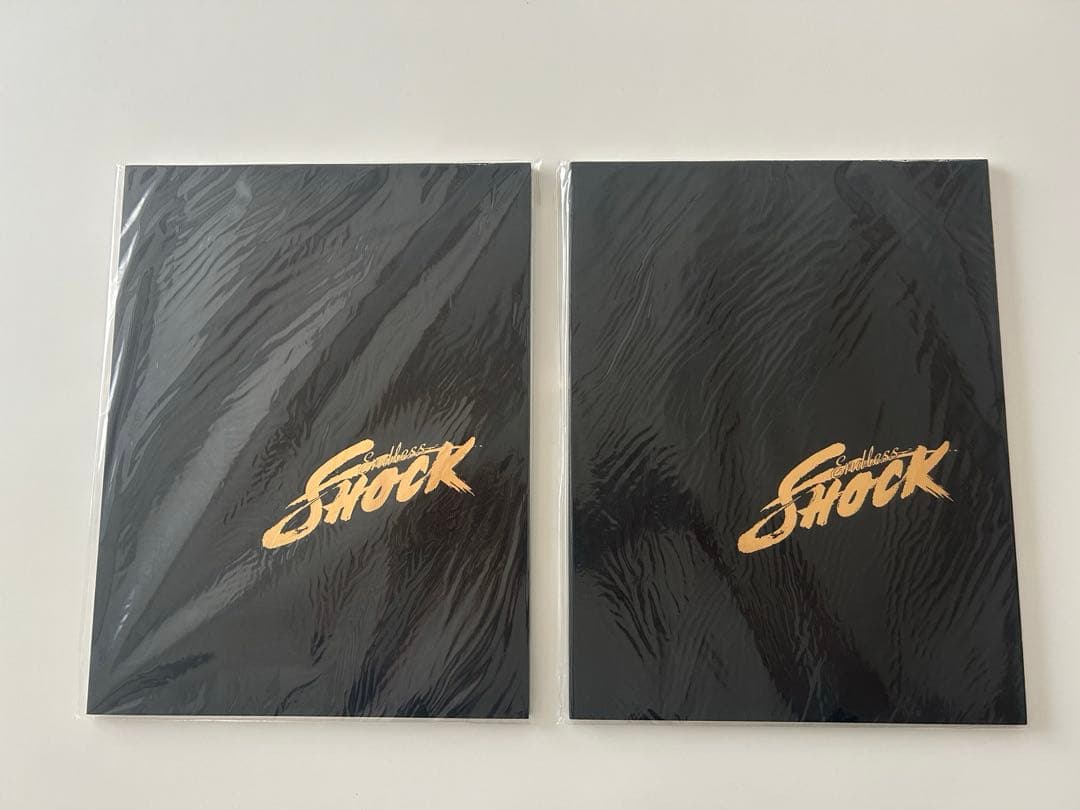 Endless SHOCK パンフレット　まとめ売り
