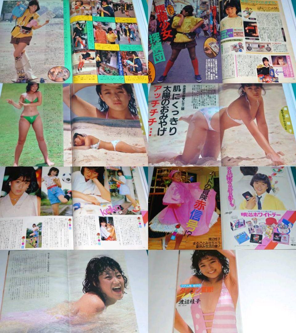 渡辺桂子　1984年〜1986年 大量　切り抜き　ファイル　2冊　120P