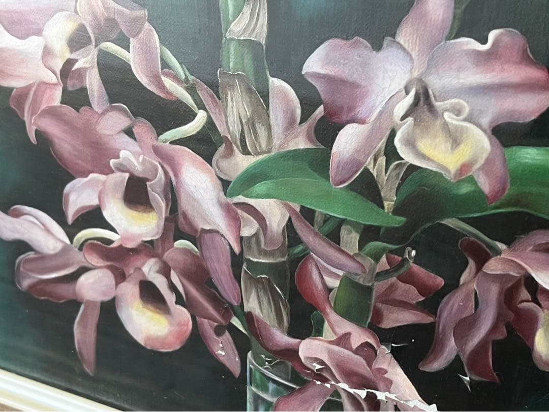 浜田清 デンドロビューム 絵画 インテリア 額縁