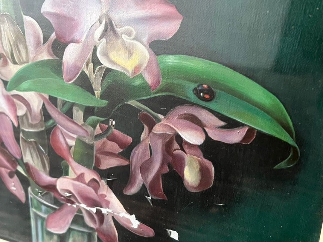 浜田清 デンドロビューム 絵画 インテリア 額縁