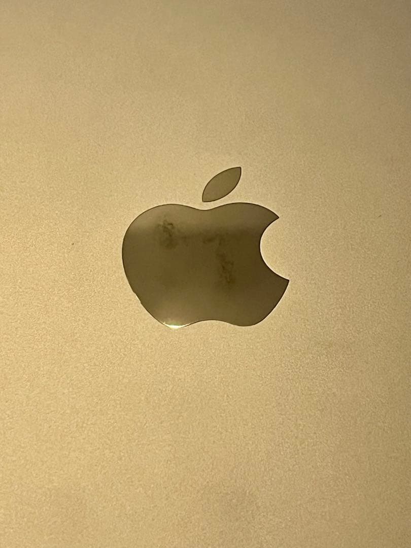 iPad Pro 12.9インチ 第3世代256GB Wi-Fiスペースグレー