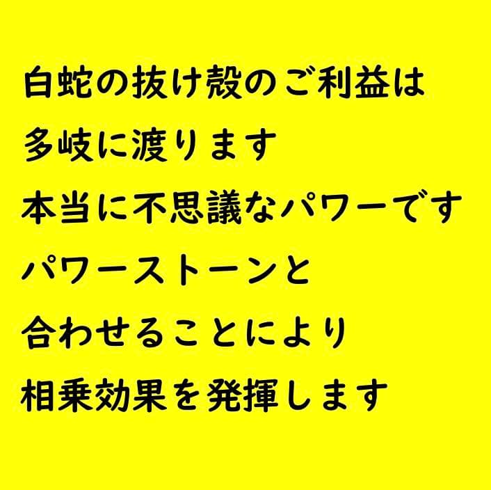白蛇抜け殻入り＊お城のプレミアムオルゴナイト＊アメジスト・オブシディアン・水晶