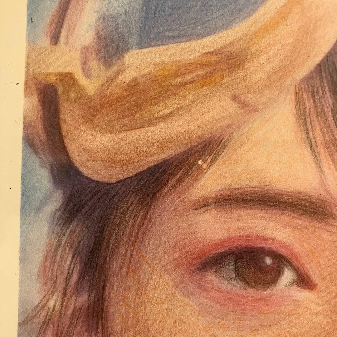 マジョリカ　マジョルカ24額装品　額縁寸法32.7cm×24.0cm　色鉛筆着色