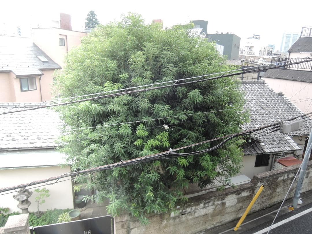 nikon ニコン デジカメ コンデジ COOLPIX P340