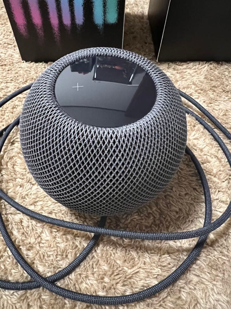 Apple Pod mini スペースグレー最終値下げ