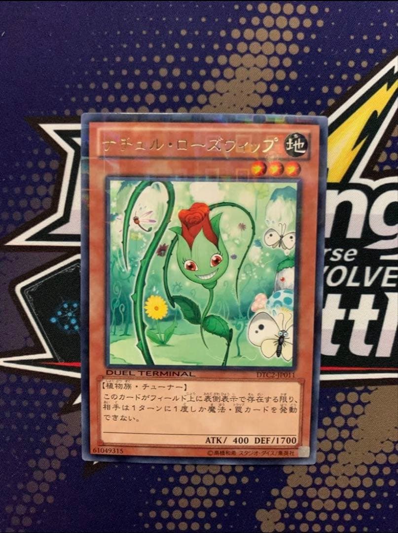 遊戯王　キラーチューン　デッキ　2026/4月　制限改定対応　ローズウィップ入り