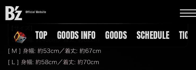 【完売品】稲葉浩志 ライブ Tシャツ en-Zepp 2024 グレー