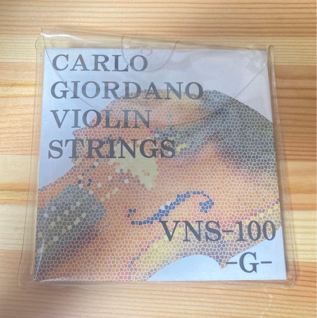 ☆ 良品 hallstatt ハルシュタット CV-210E エレキバイオリン