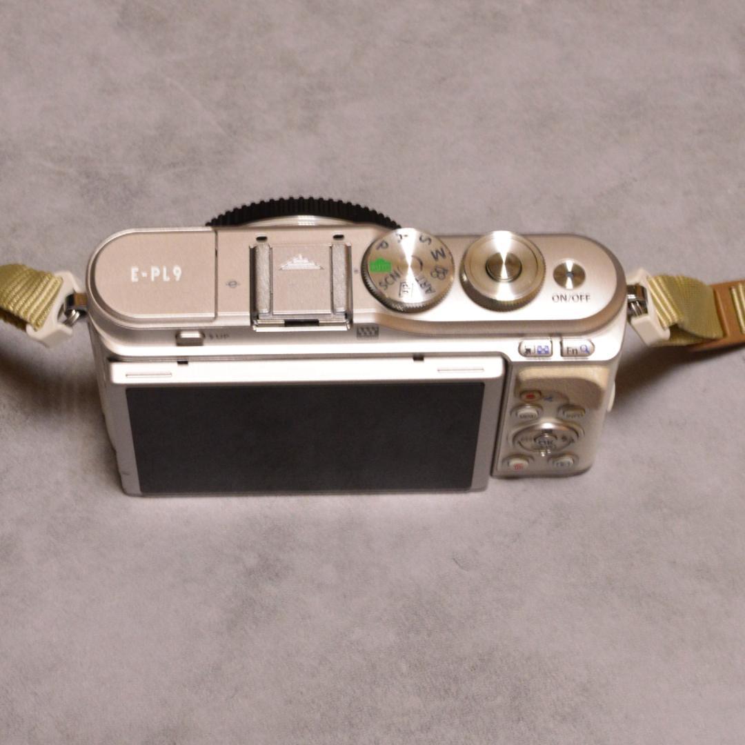 OLYMPUS PEN E-PL9 ダブルズームキット シャッター数644回