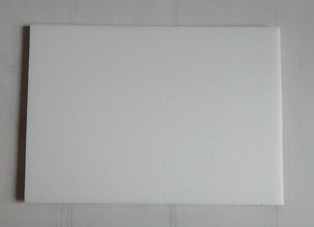 直筆サイン入り Ayasa ライブフォト A4サイズ パネル 非売品