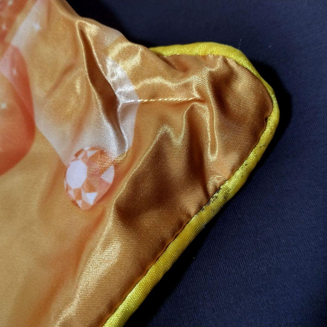 ロング枕カバー 「ドキドキ!プリキュア」 東映アニメーションショップ限定 激レア