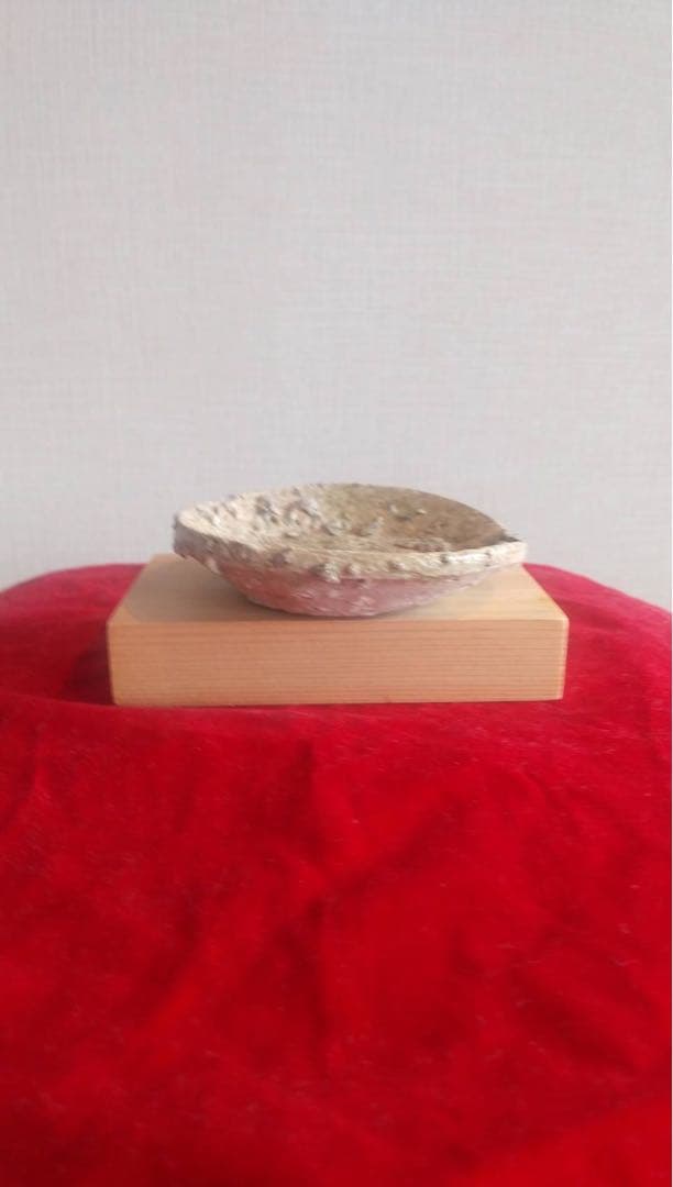 常滑小皿