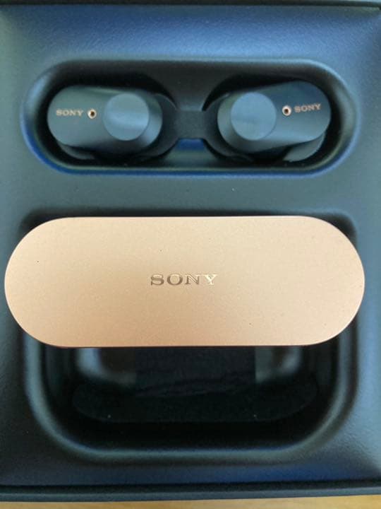 SONY WF-1000XM3 (ジャンク品)