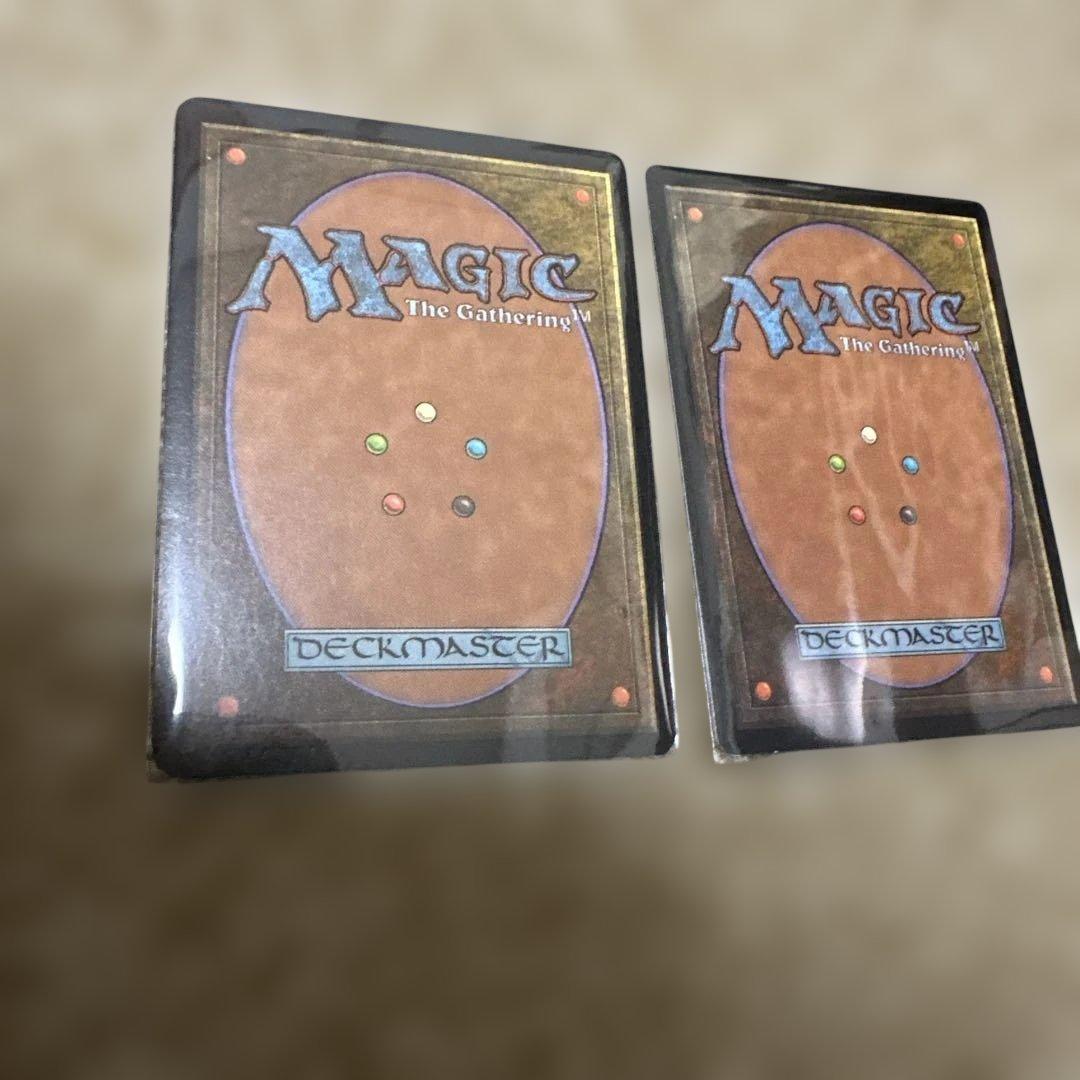 MTG 不実 2枚セット