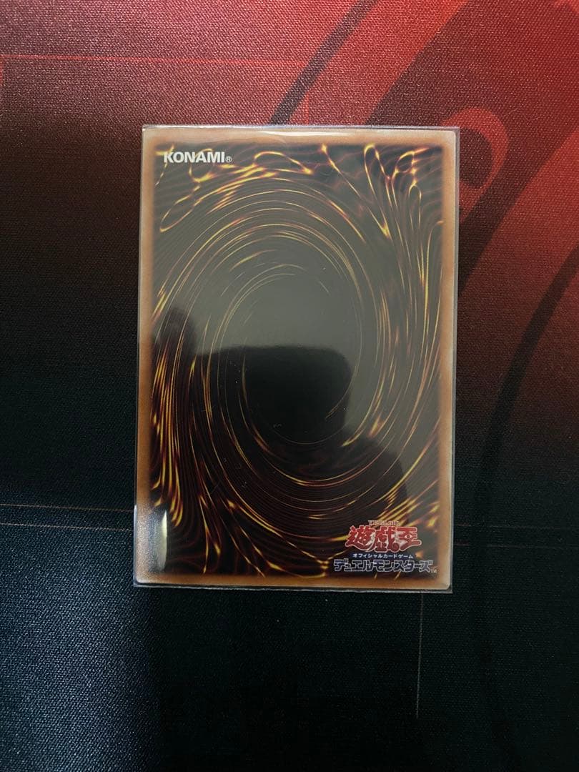 調和ノ天救竜　フィドラリウスハルモニア　レリーフ