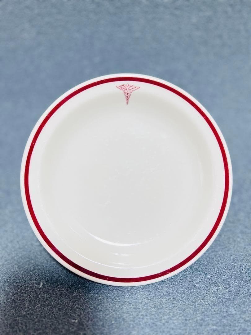 米軍 実物 メディカルプレート 8枚