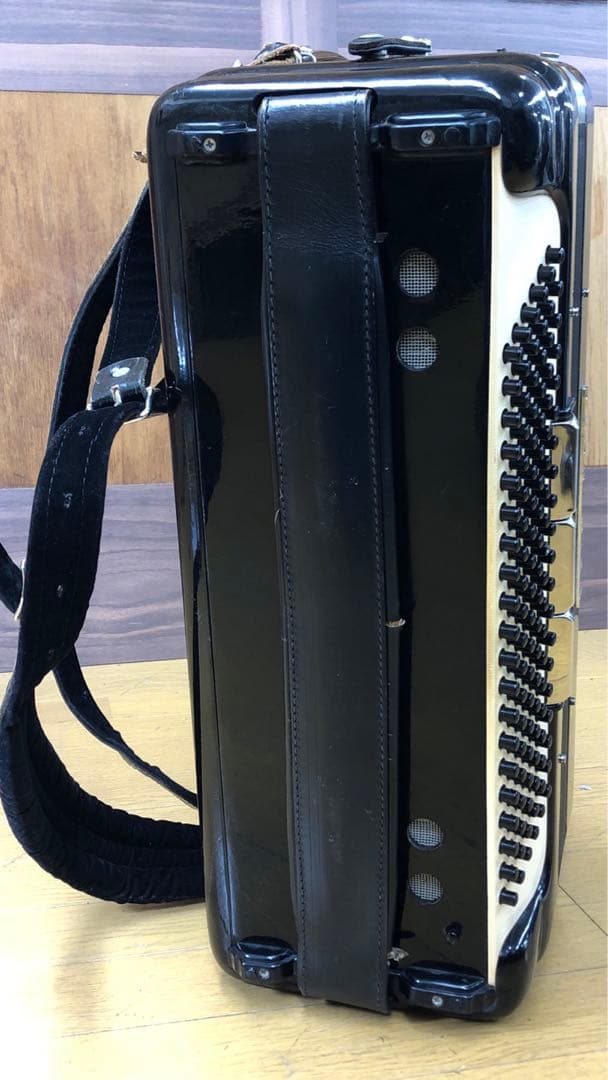 EXCELSIOR アコーディオン Professionalモデル ケース付