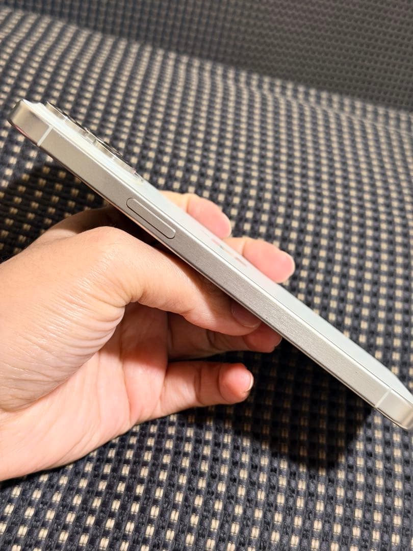 Apple iPhone 15 Pro Max シルバー 本体 256 GB