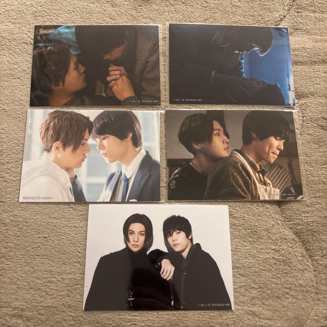 美しい彼 トレーディングブロマイド 28枚セット ドラマ 劇場版 eternal