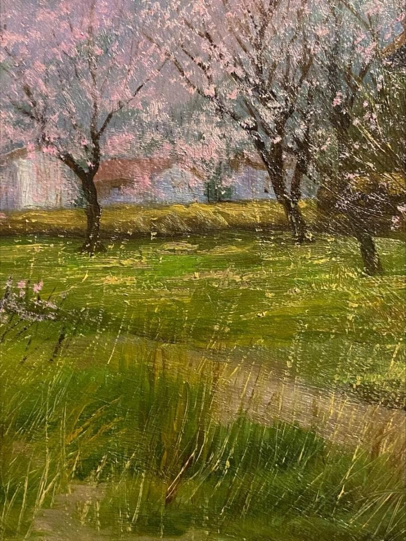 「真作」細川進『杏の里』 風景画　F4　号油絵　絵画　油彩画　額装　サイン有り