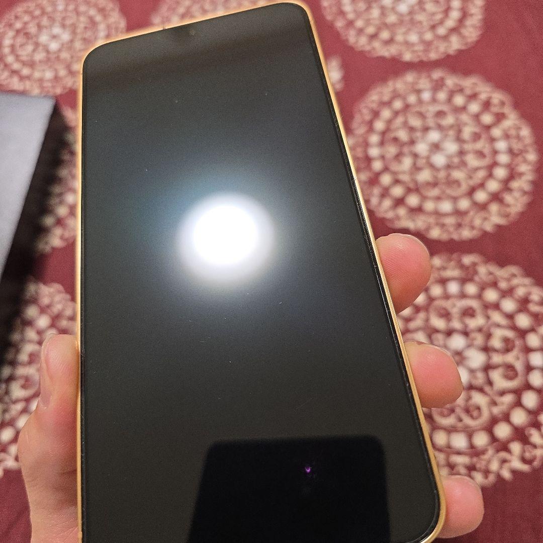 Galaxy S24plus 12/256GB 東南アジア版
