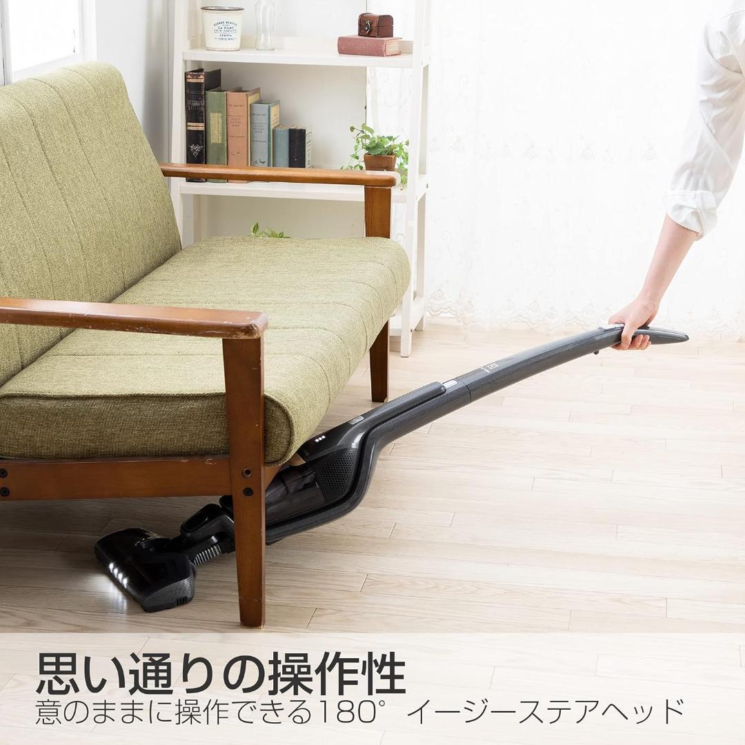 Electrolux エレクトロラックス クリーナー 掃除機 ZB3502IG