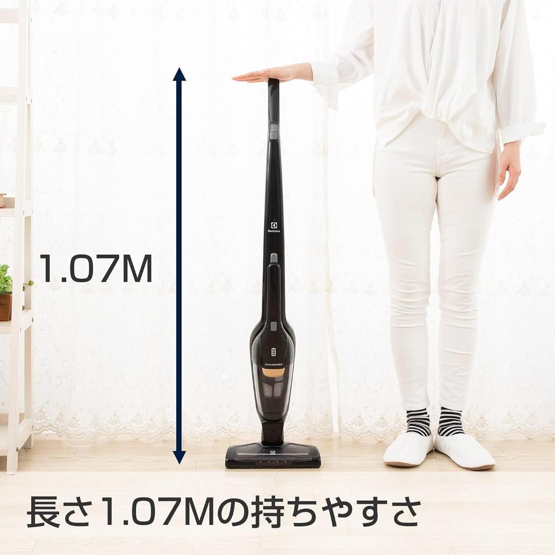 Electrolux エレクトロラックス クリーナー 掃除機 ZB3502IG