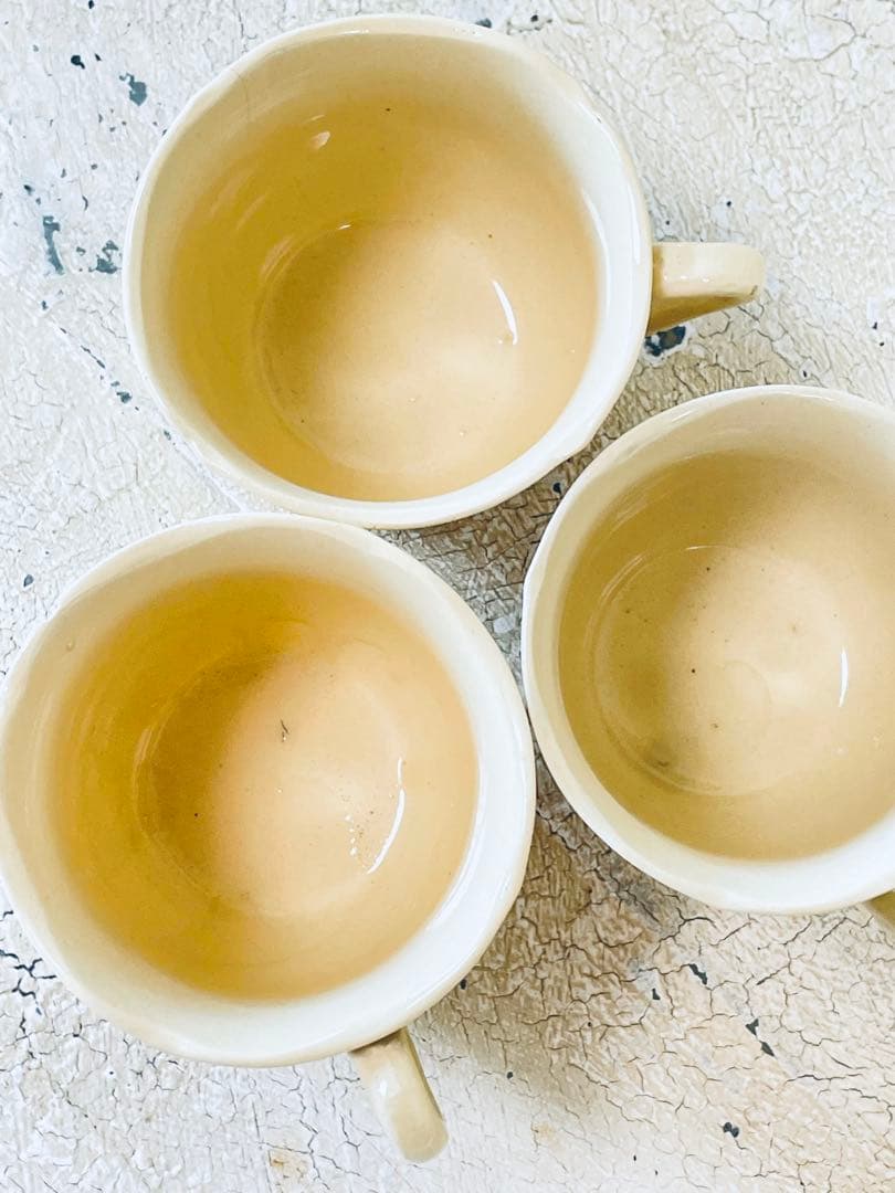 サルグミンヌ　花リム　金彩　5点set