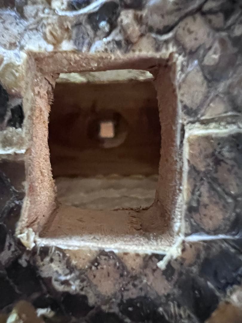 三線本体 木製 3弦 黒