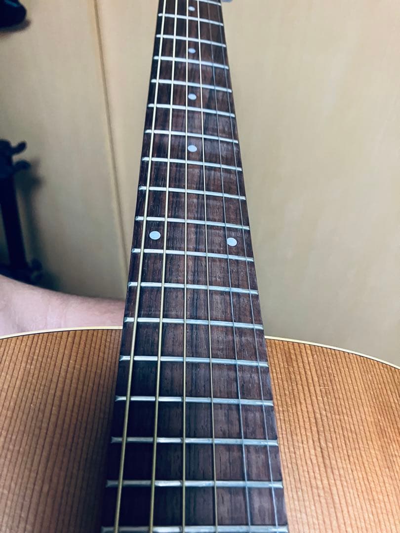 seagull S6 fork カナダ中堅モデルケース付きハンドメイドギター