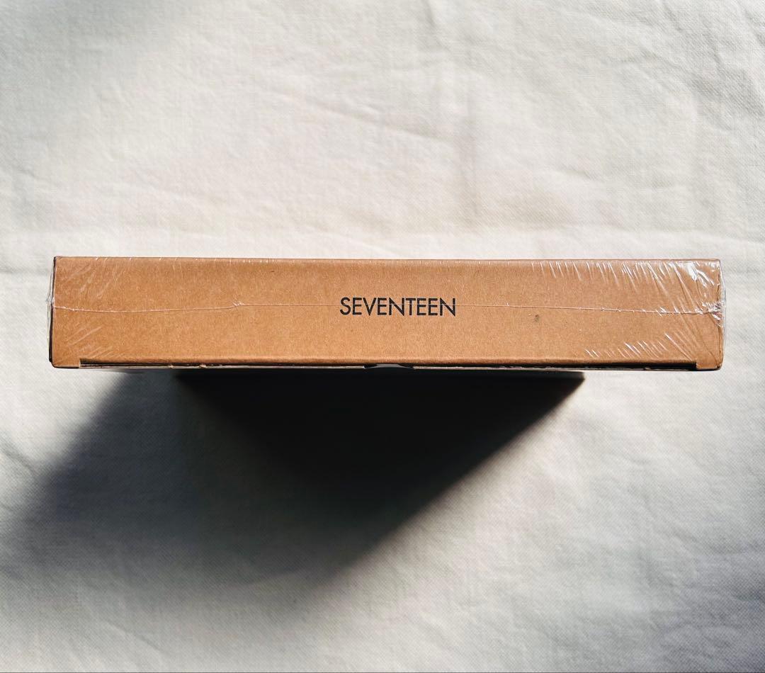 セブチ D'ICON PHOTOCARD 101 : CUSTOM BOOK