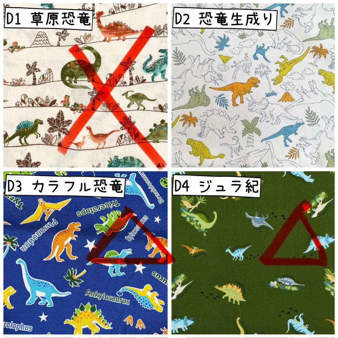 入園 入学 ☆レッスンバッグ　オーダー 受注注文 男の子　《恐竜　ダイナソー》